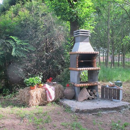 No Meio Da Natureza - Turismo No Espaco Rural Vila Nova de Famalicão Екстериор снимка