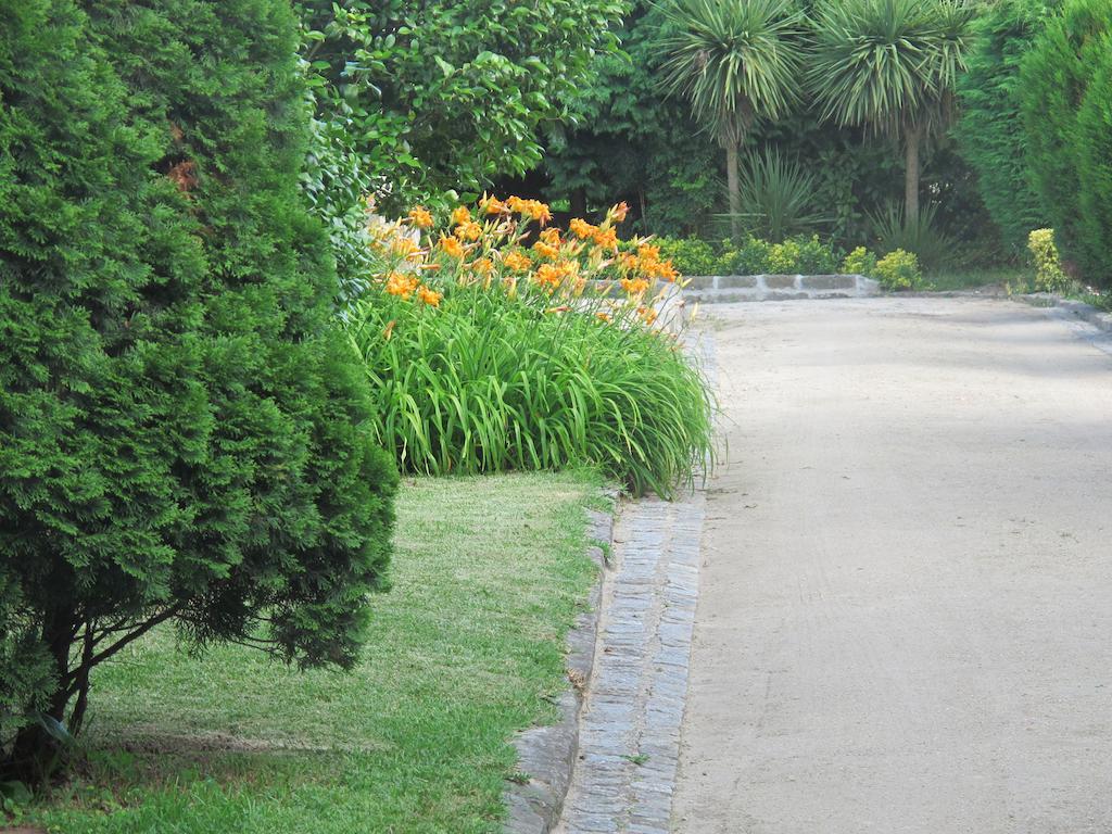 No Meio Da Natureza - Turismo No Espaco Rural Vila Nova de Famalicão Екстериор снимка